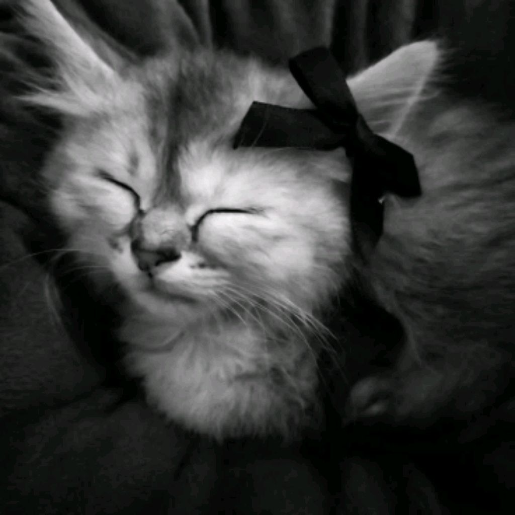 Иконка канала Я Арина