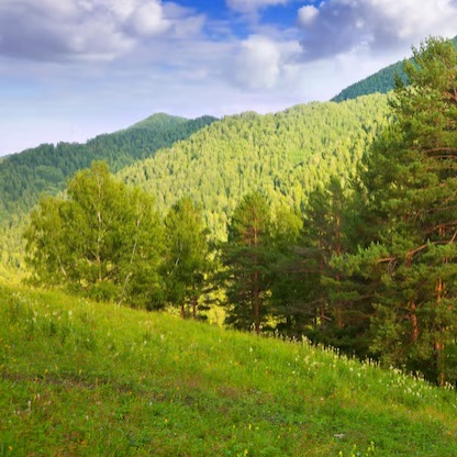 Иконка канала Роман Кветкин