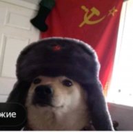 Иконка канала Собака СССР