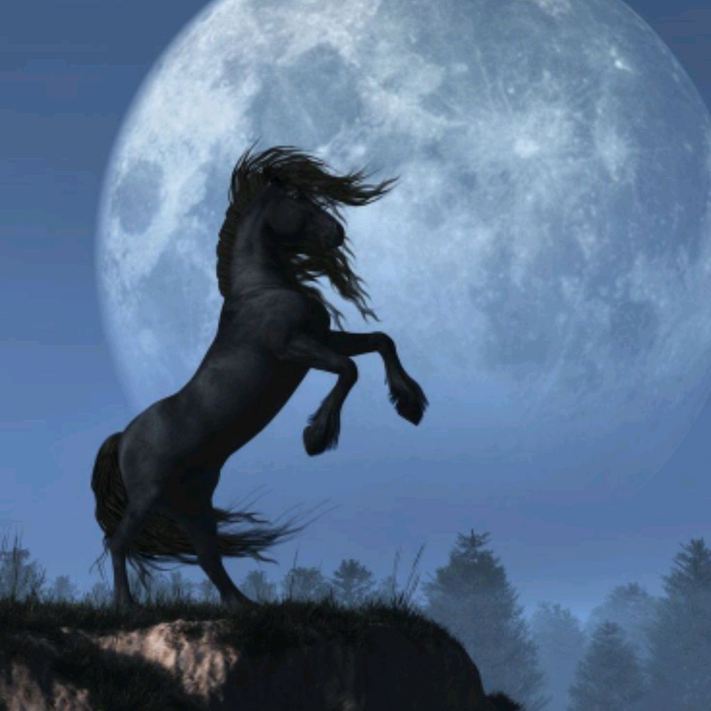 Иконка канала Horses And adventures🐴🐎🔥