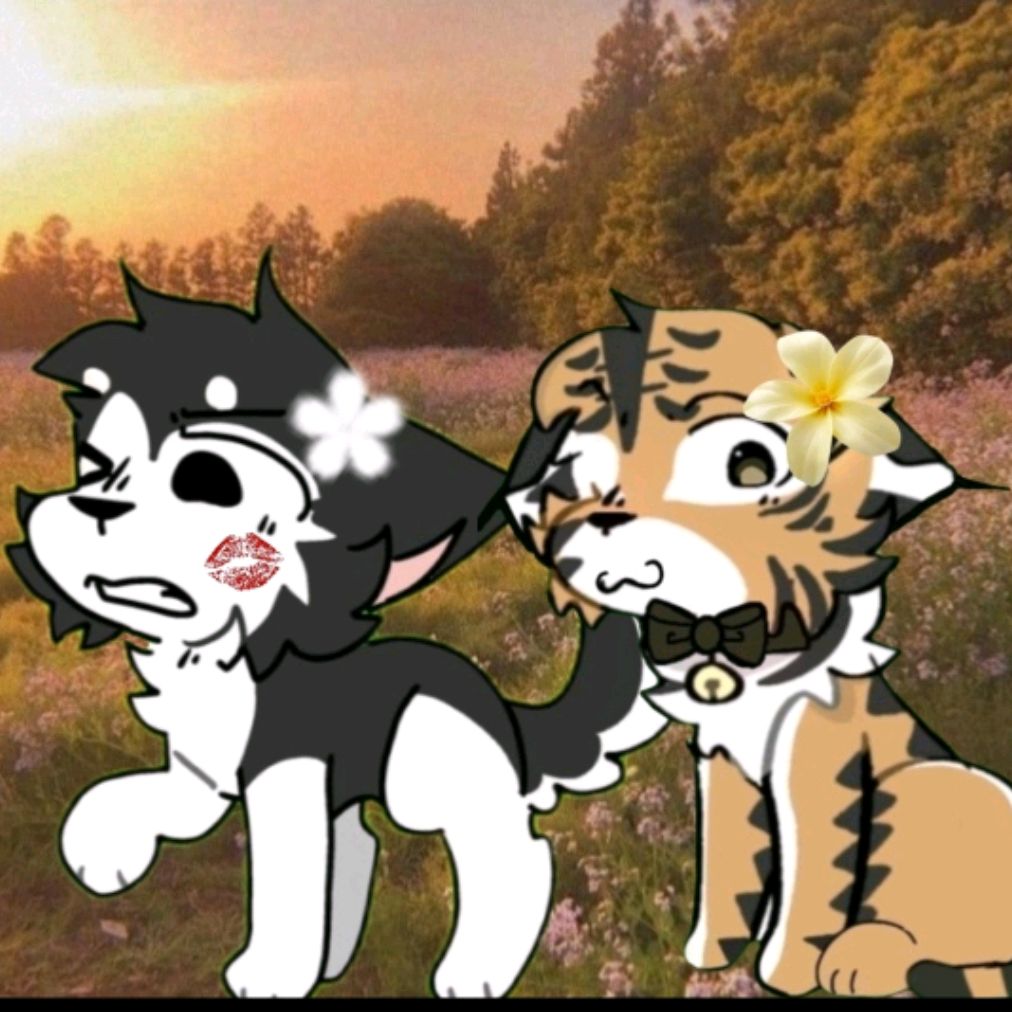 🍕☀︎︎𝙵𝚛𝚞𝚒𝚝 𝚍𝚘𝚐𝚜☀︎︎🥗