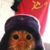 Иконка канала Кот СССР