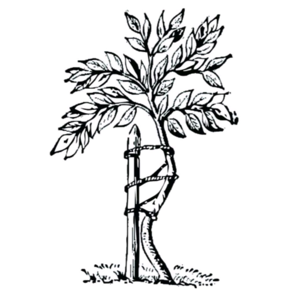 Иконка канала Травматологу Ортопеду