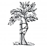 Иконка канала Травматологу Ортопеду