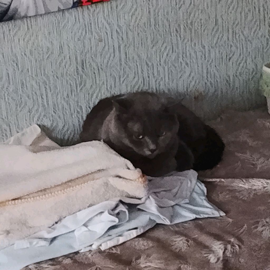 Иконка канала Тимофейплюс