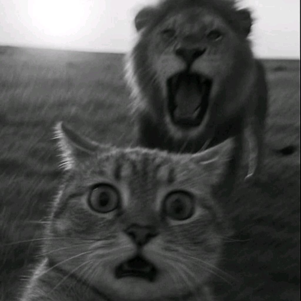 Иконка канала SabKan