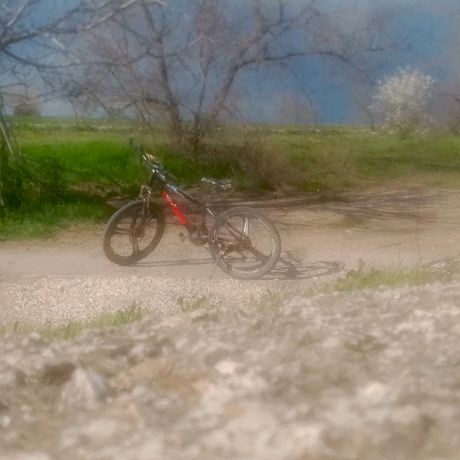 Аватар автора