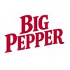 Иконка канала BIG PEPPER | специи, вкус и рецепты