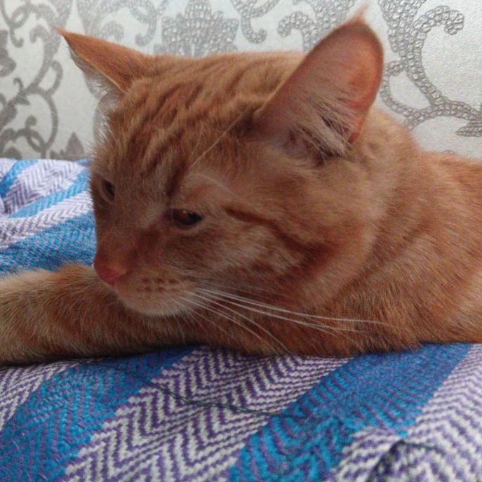 Иконка канала Dfhrut55