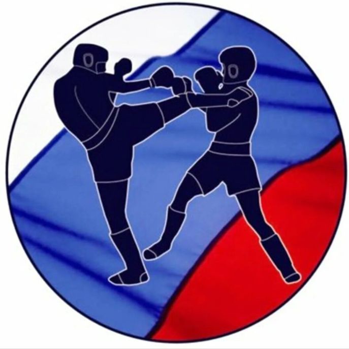 Иконка канала S. V. Sankin