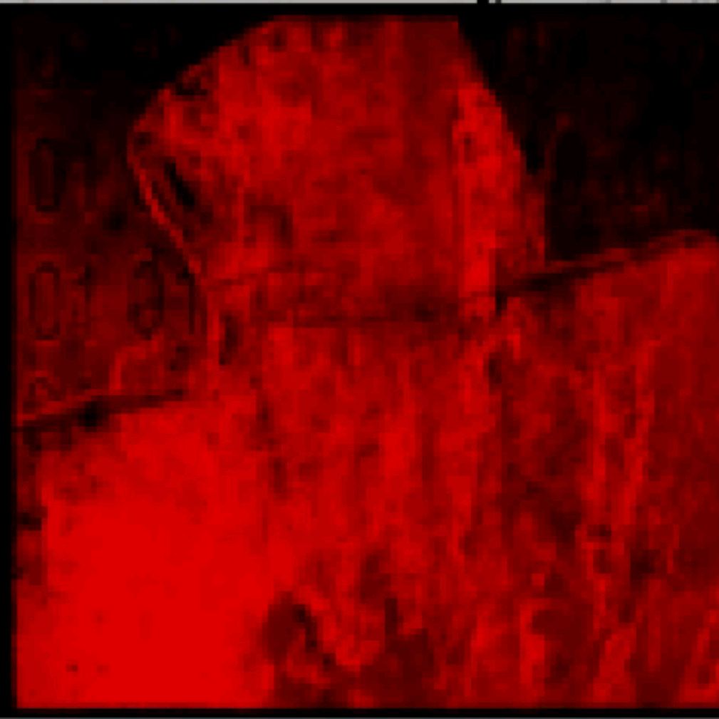 Иконка канала Дурка нашего двора