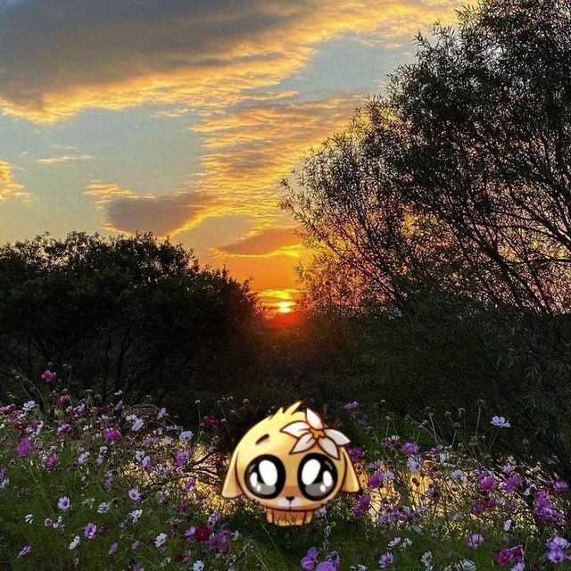 Иконка канала 🪻🍄🫧Д_А_Ш_К_А🫧🍄🪻