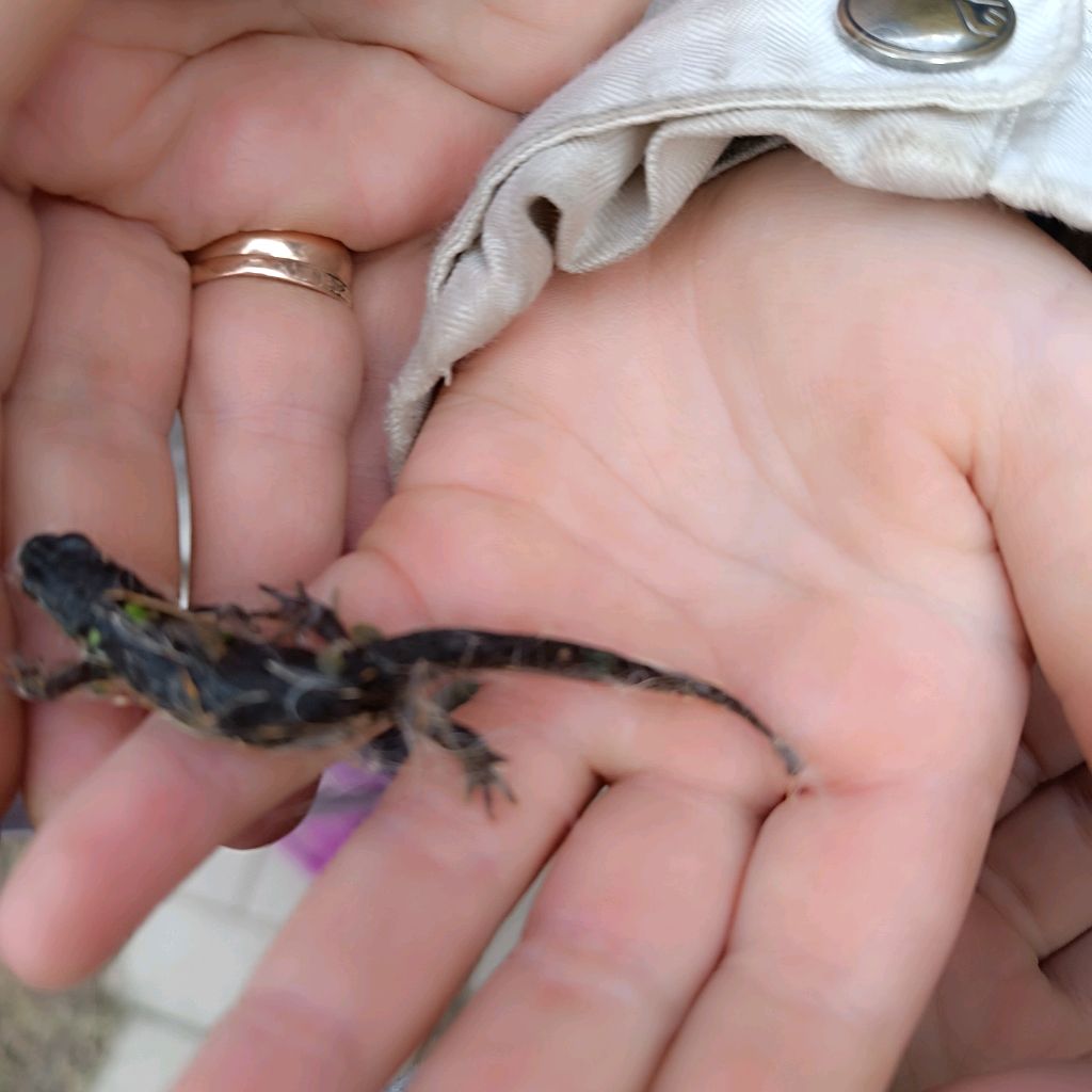 Иконка канала Петросян😔