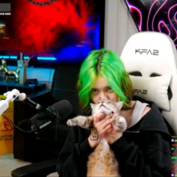 Иконка канала Shedi_cat