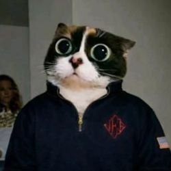 Иконка канала no_soft