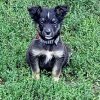 Иконка канала channel77371924