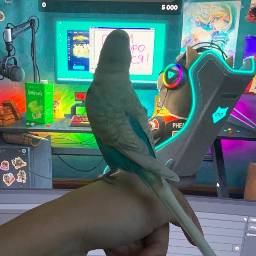 Иконка канала TWITCH;tonic_room