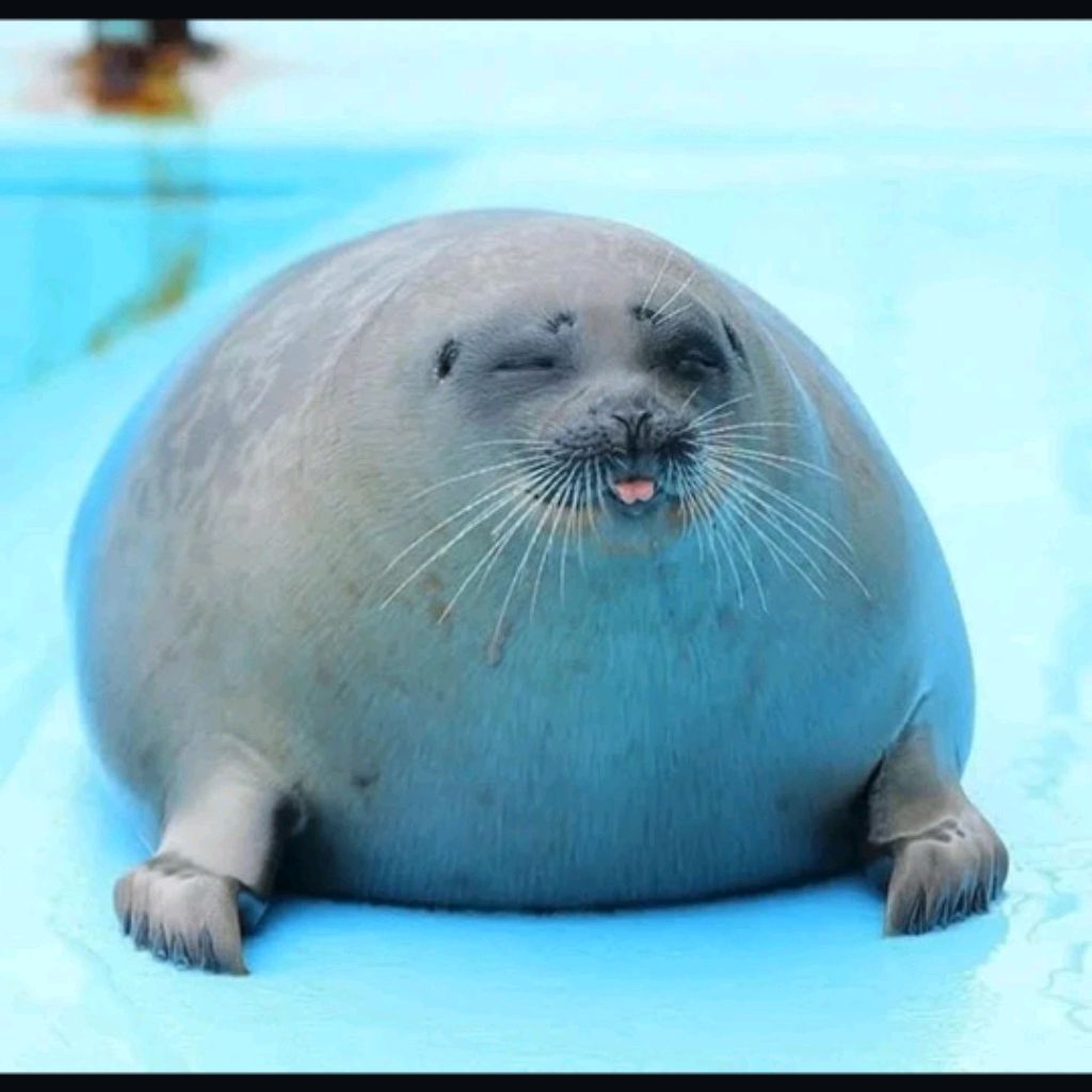 Иконка канала Доктор Ноубеар