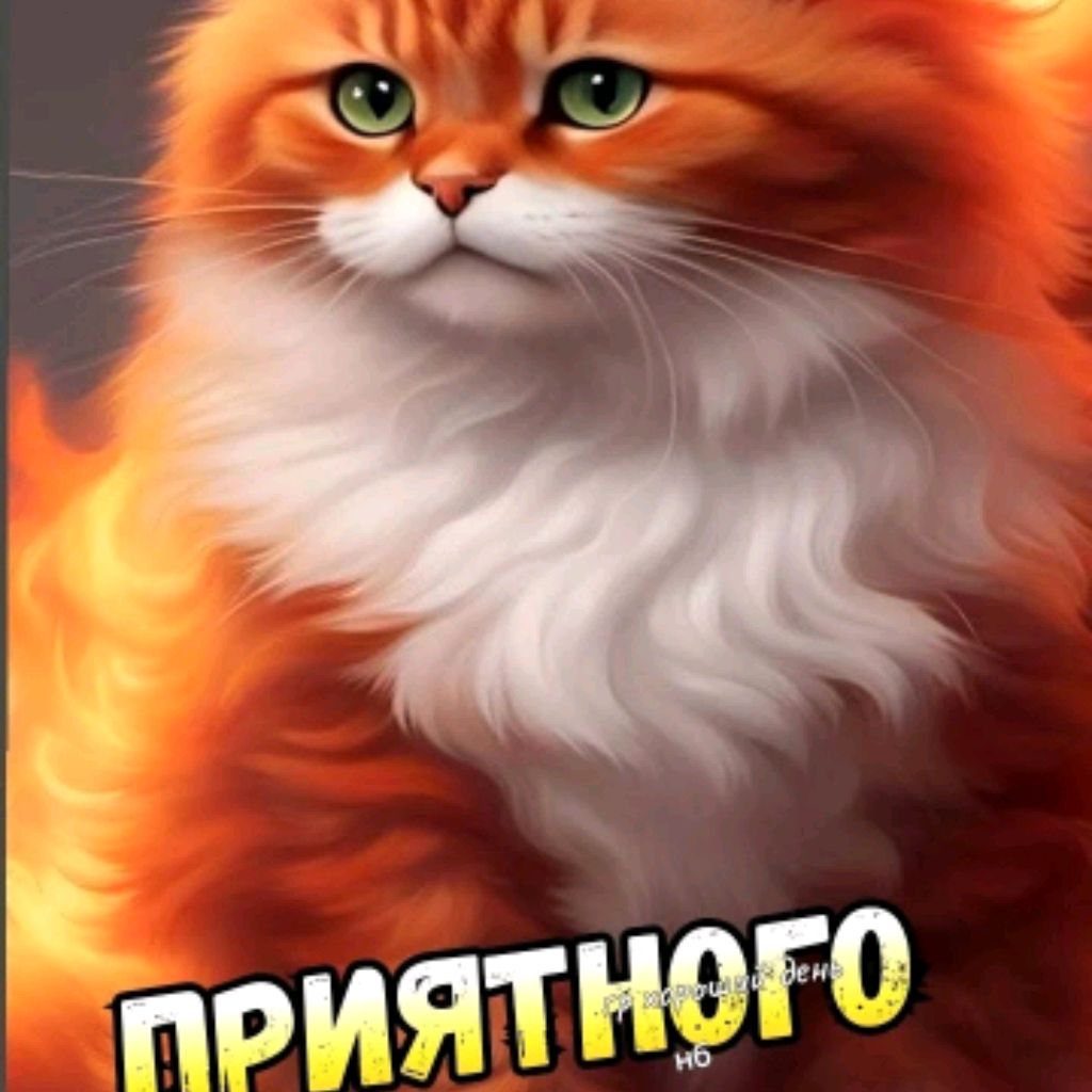 Иконка канала Поздравления, Фильмы Мультфильмы Рецепты И Животны