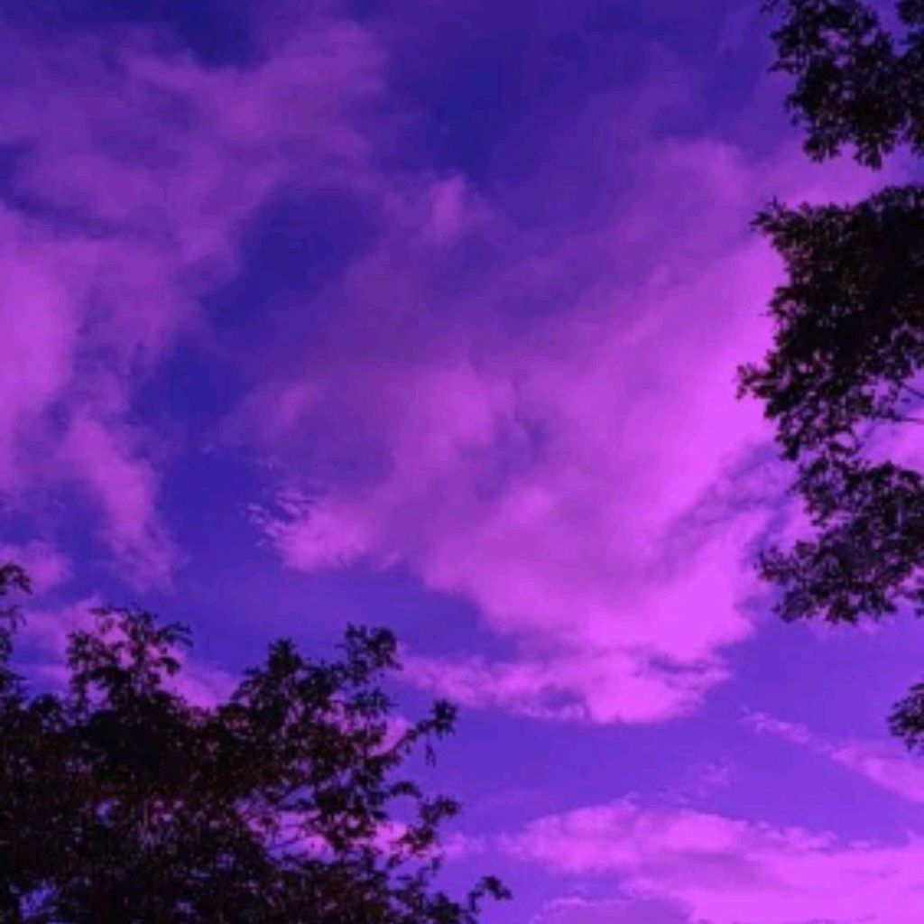 Иконка канала The Boer house.💖🐶