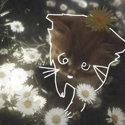 Иконка канала 🍀🌿 Раффu🌿🍀