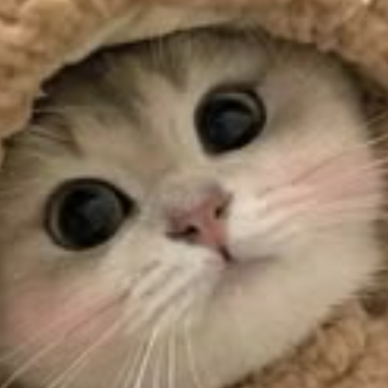 Иконка канала спортивный Витя