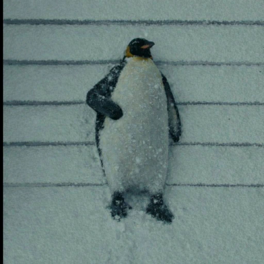 Иконка канала Qqq