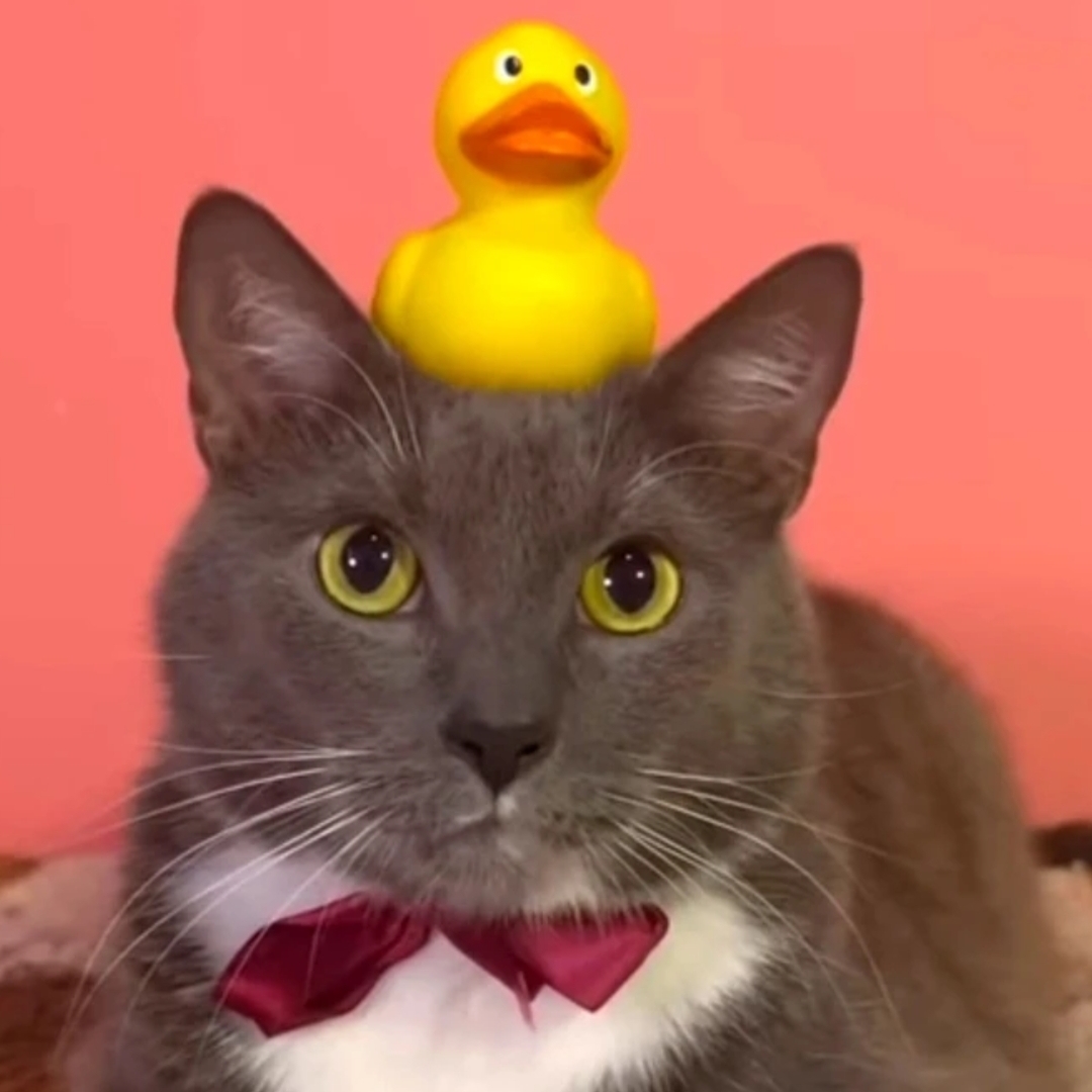 Иконка канала Лотков