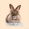 Иконка канала Черемша И Котость