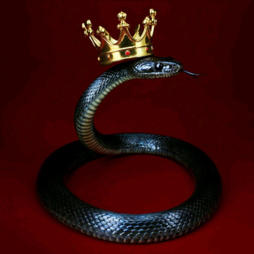 Иконка канала Король Змей
