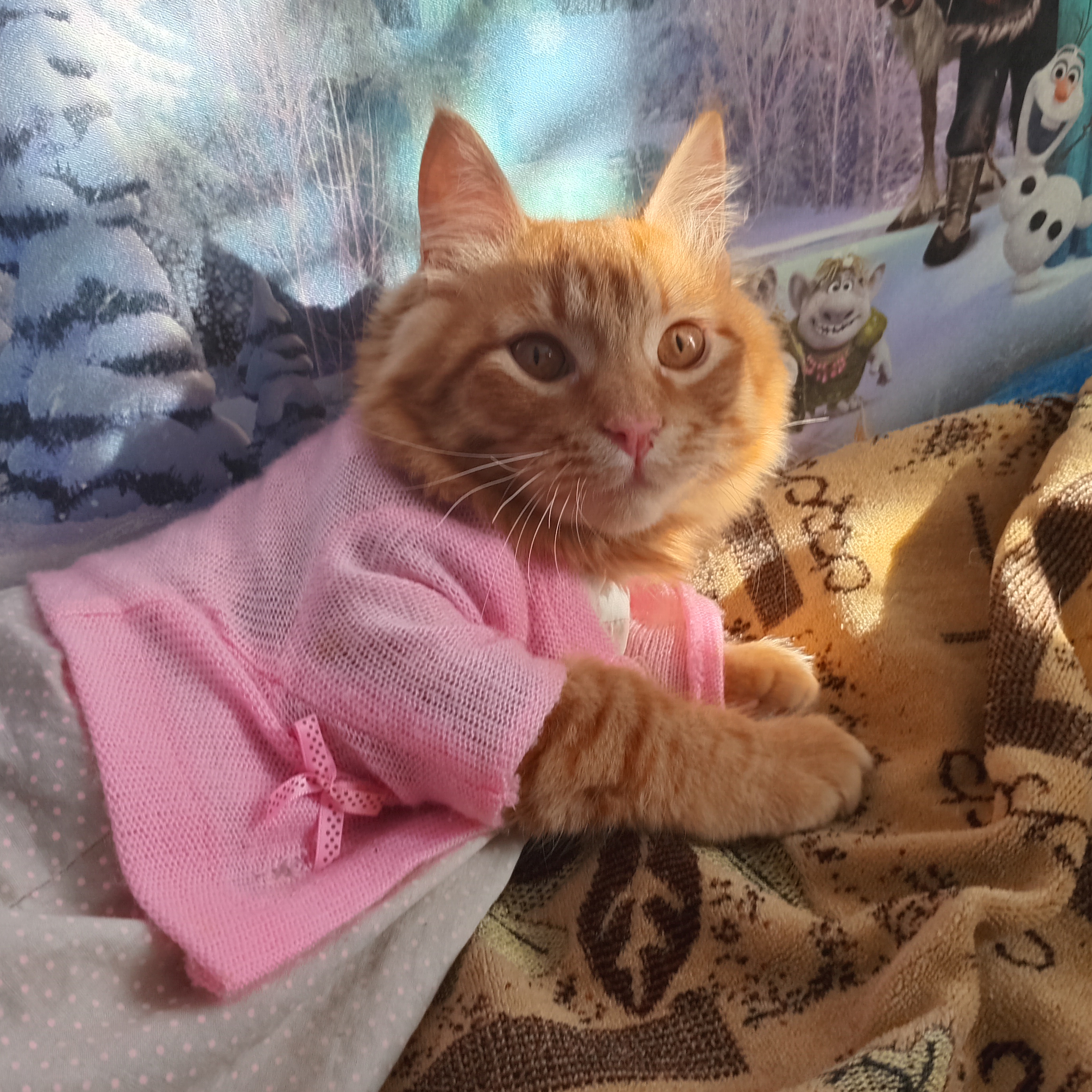 Иконка канала Осьминожка