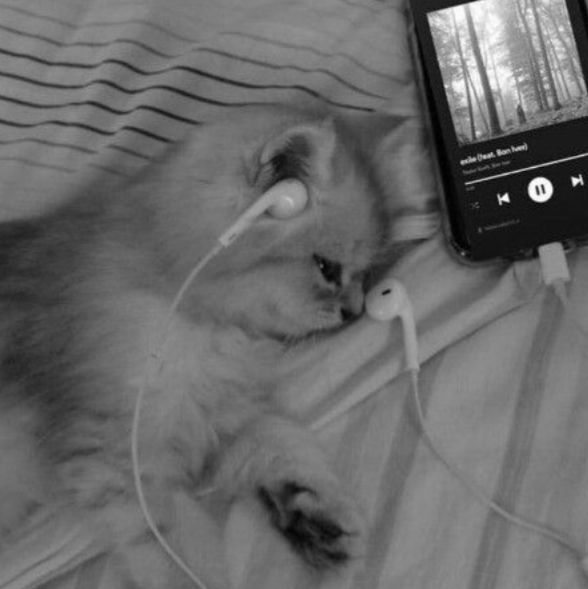 Иконка канала †/Ашk@/×