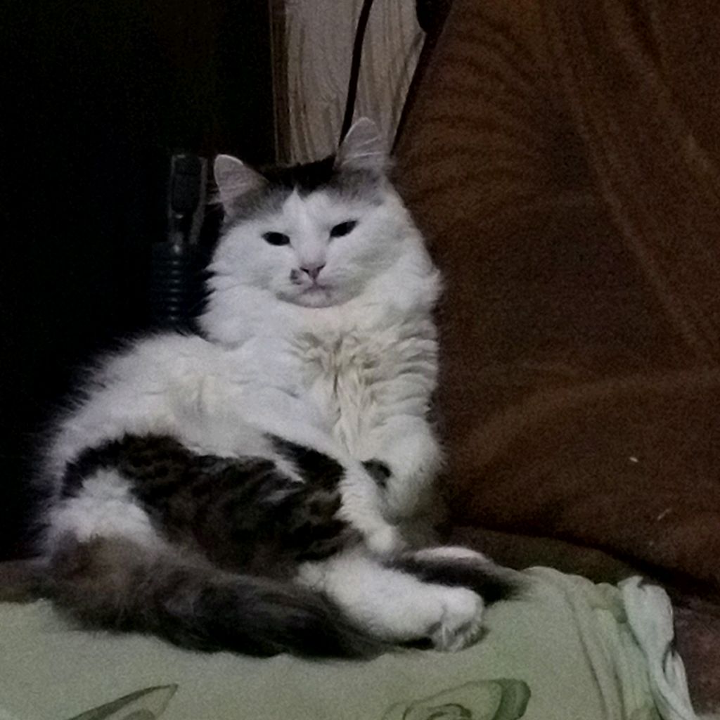 Иконка канала Vira123