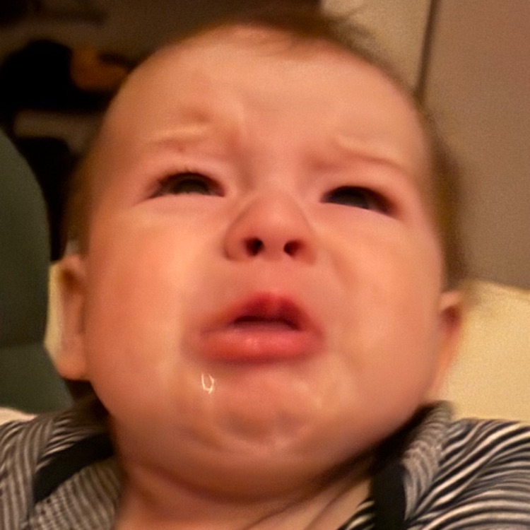 Иконка канала Ножка утконоса