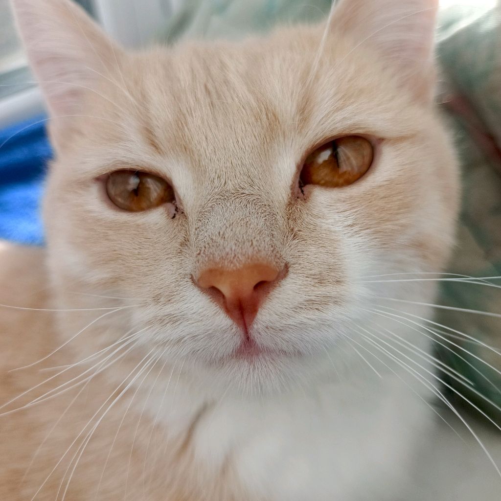 Иконка канала Лёня Xll