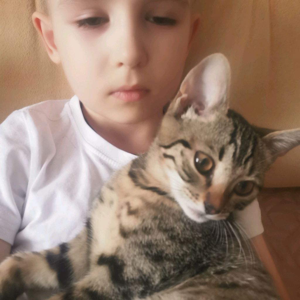 Иконка канала Травиан