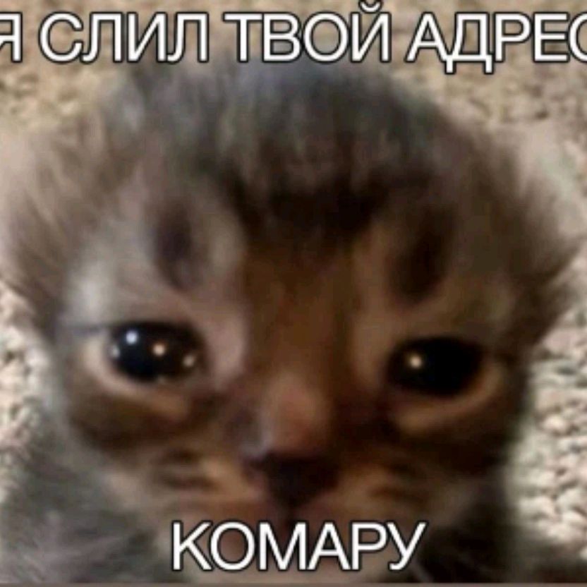 Иконка канала Каро Мощная)