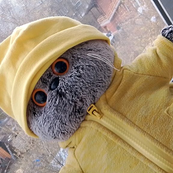 Аватар автора