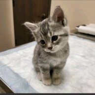 Иконка канала Kat 45k