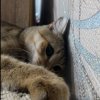 Иконка канала Радмир
