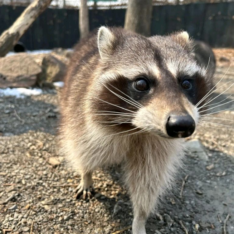 Иконка канала Ира Бутко