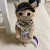 Иконка канала GIFT PIAY