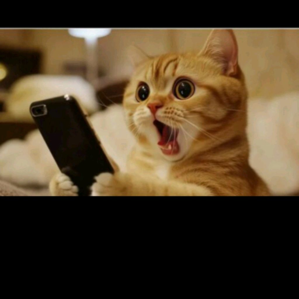 Иконка канала Мяу Мир (Мяу Коин)