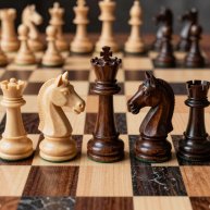 Иконка канала Мир шахмат