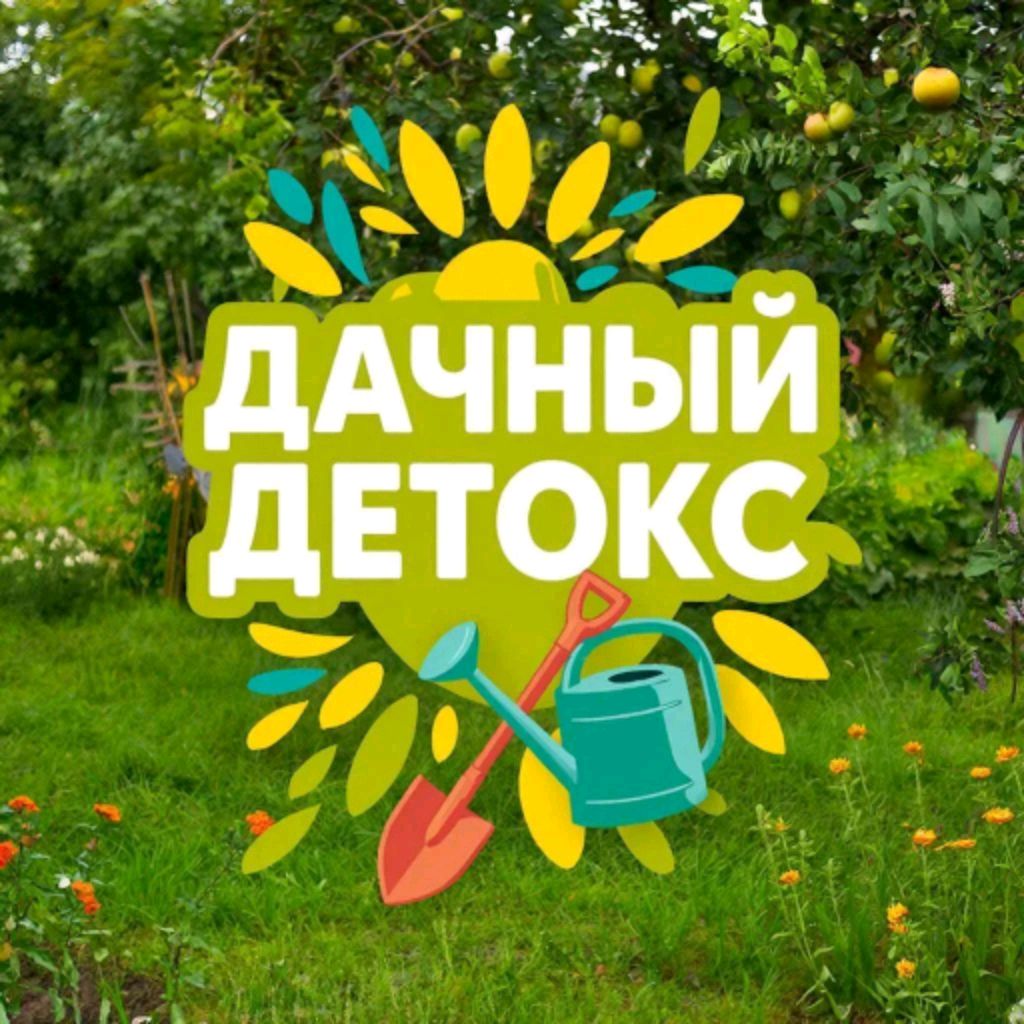 Иконка канала Дачный детокс