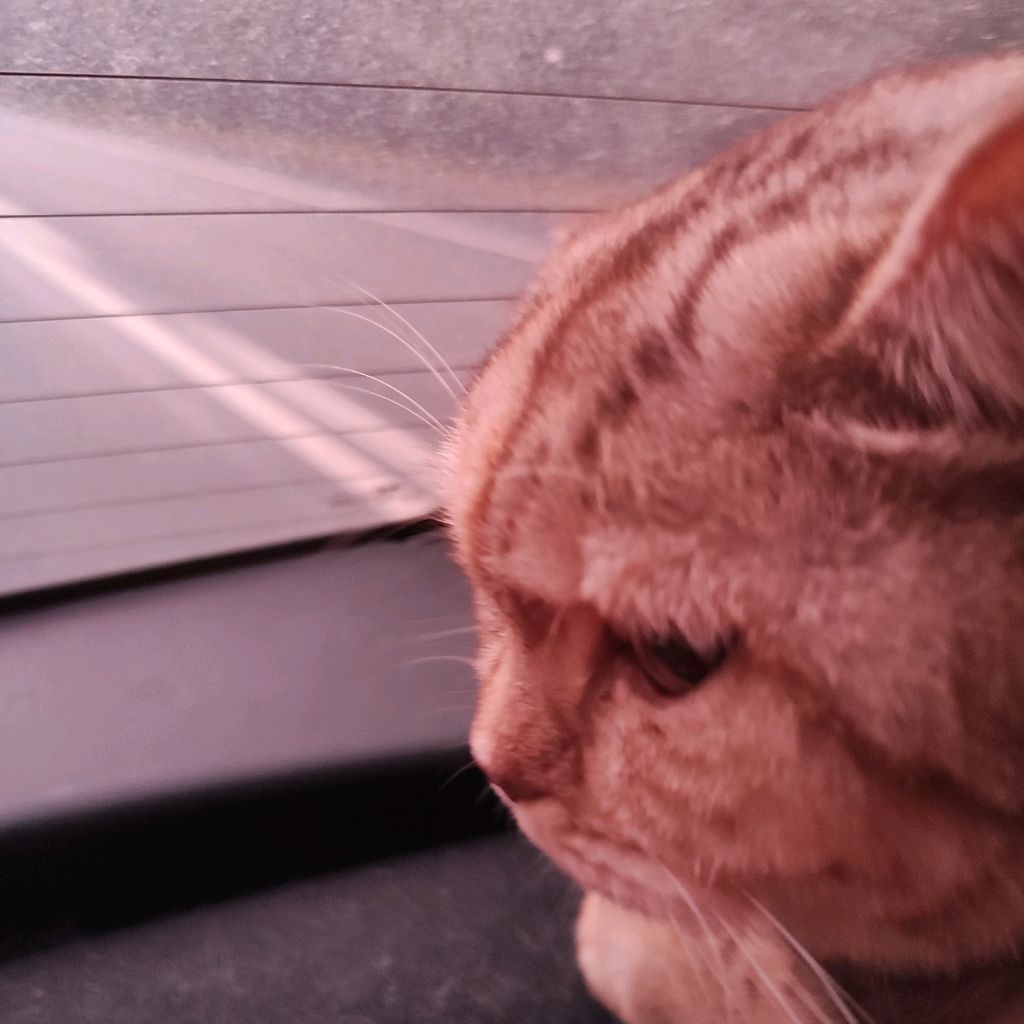 Иконка канала Baton😃