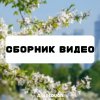 Иконка канала Сборник Видео