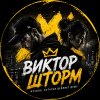Иконка канала 🎧 Виктор Шторм | Хиты для души