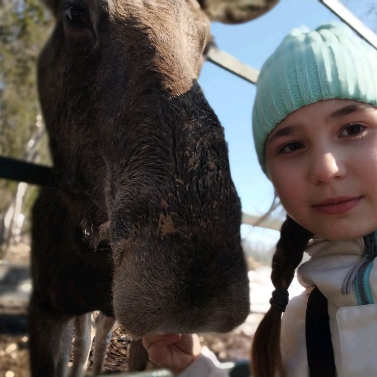 Аватар автора