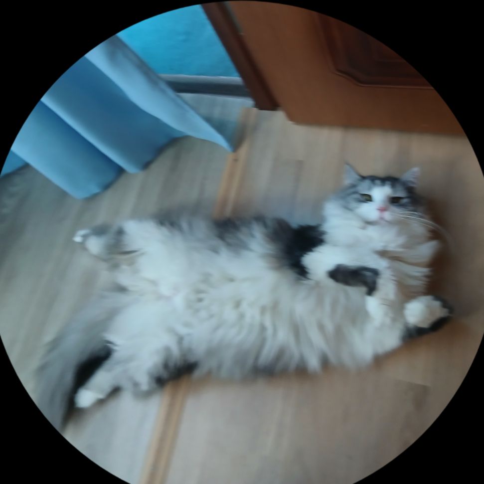 Аватар автора